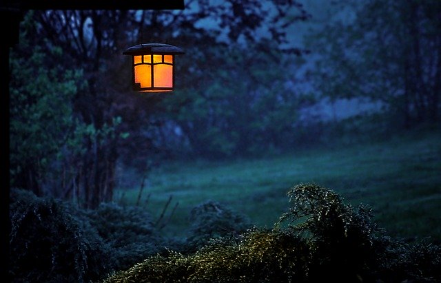 Lampáš so žiarovkou zavesený na strome v záhrade.jpg